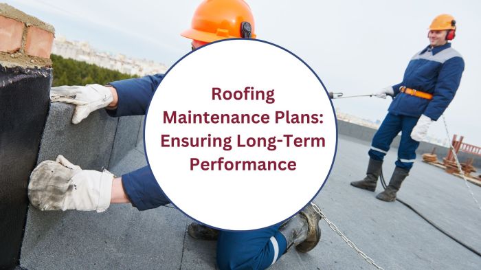 Roofing Maintenance Plans: Ensuring Long-Term Performance
