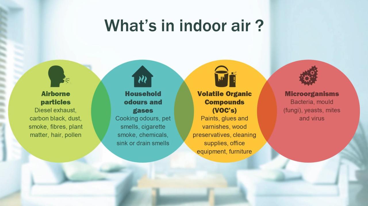 Indoor Air Quality Infographic